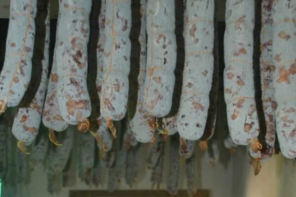 SALAME QUINTERO MERCEDINO - Imagen 2